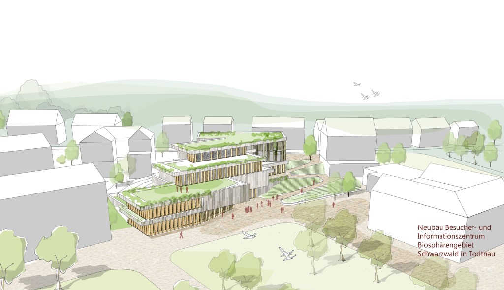 Schwarzwald in Todtnau